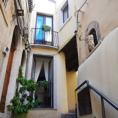 Donna Rosa - Main Avenue-2